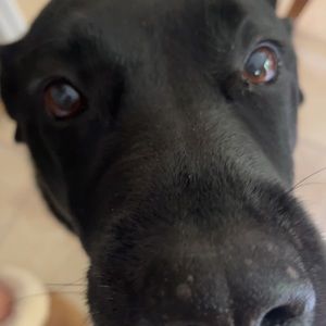 Meet your Posher, Will